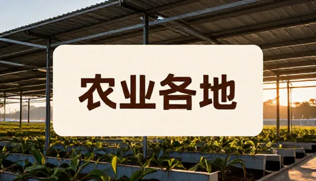 账号代运营中品牌视觉设计如何提升效果?